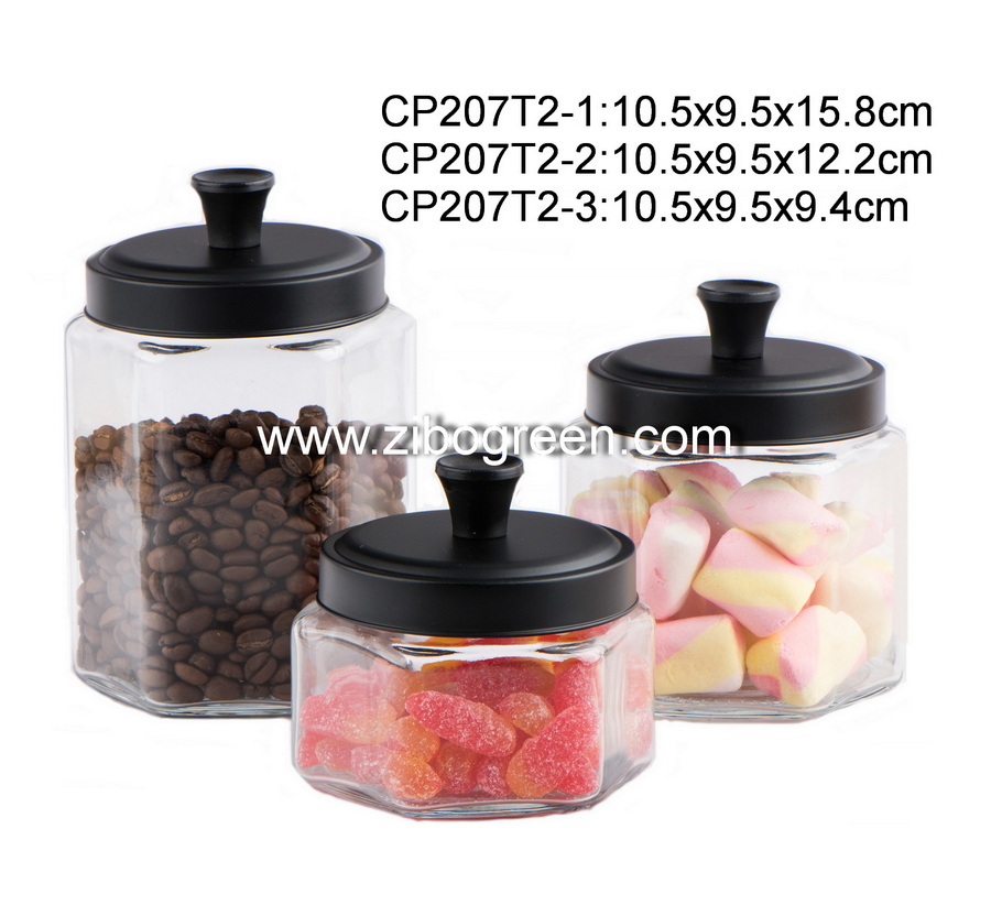CP207T2