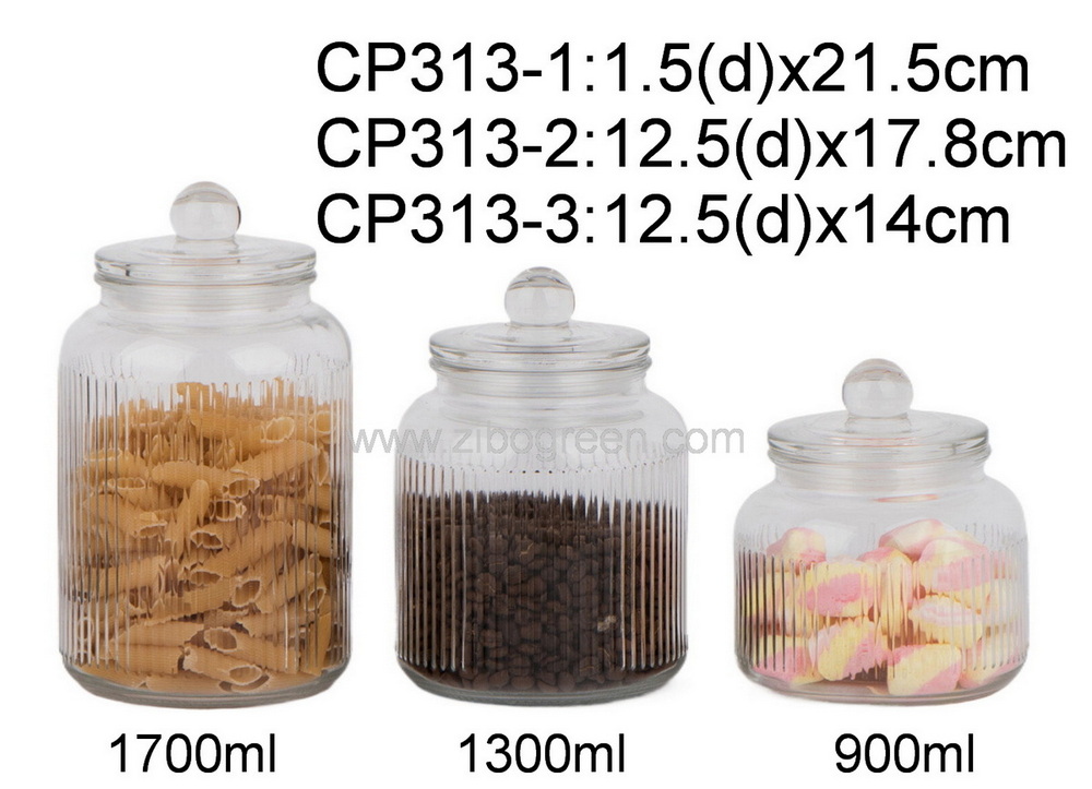 CP313