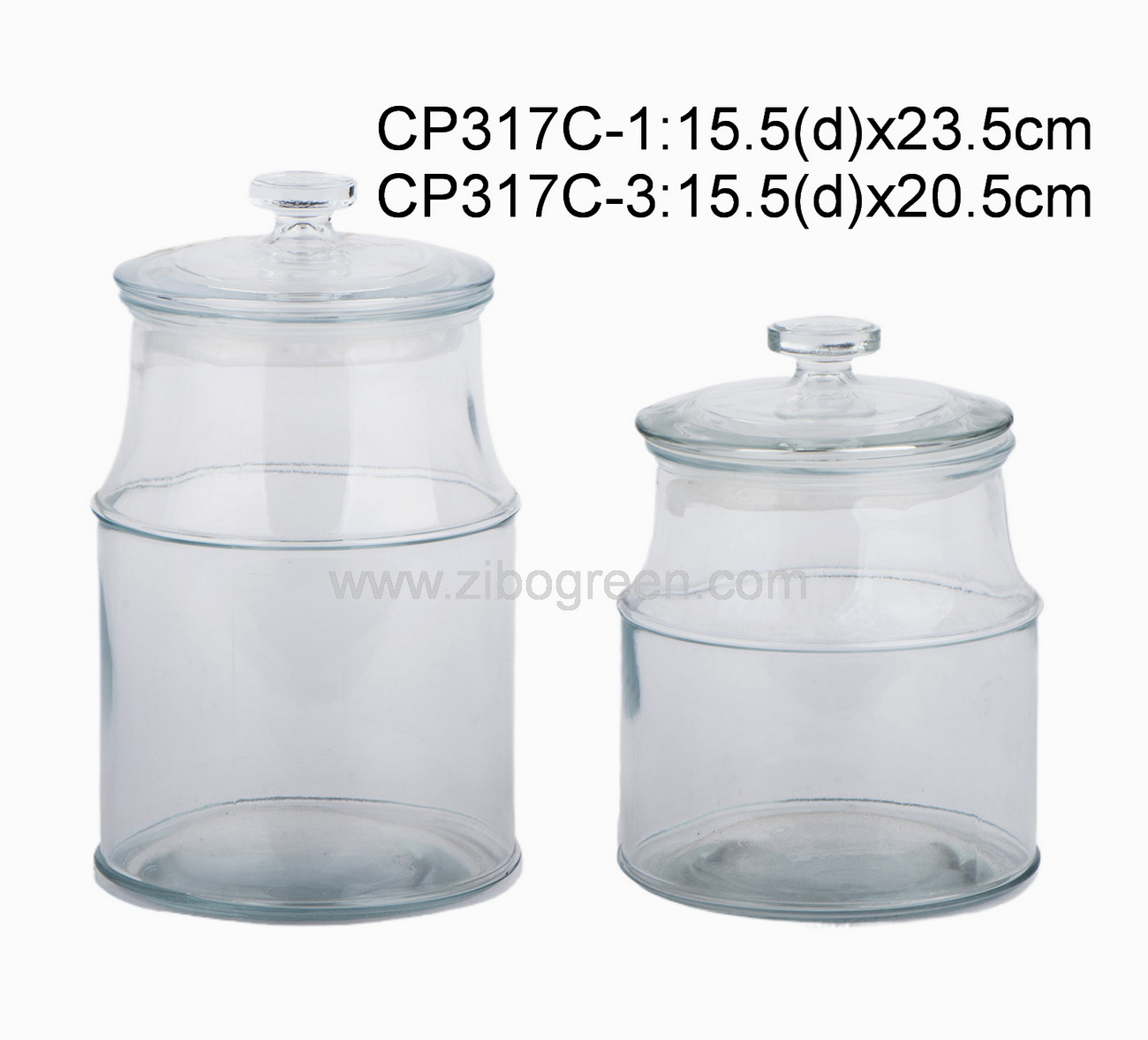CP317C