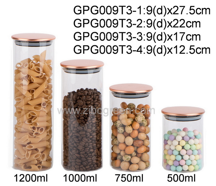 GPG009T3