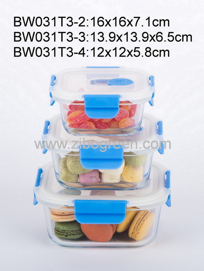 BW031T3