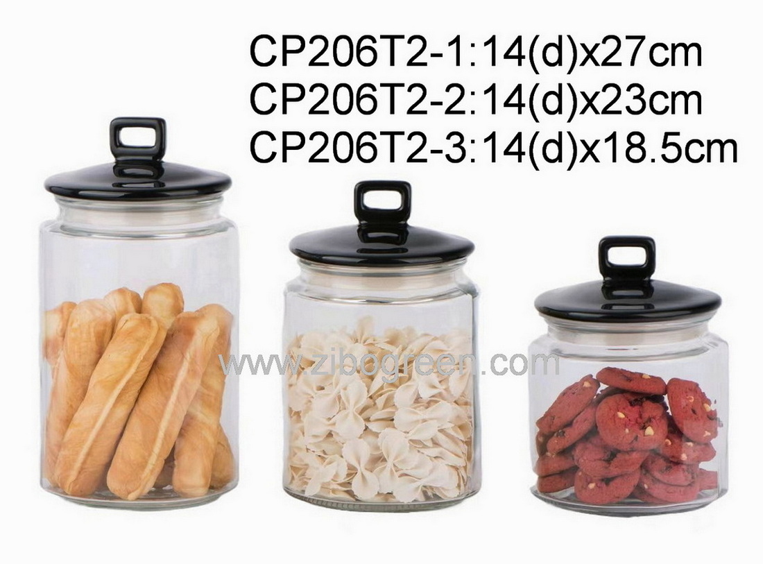 CP206T2