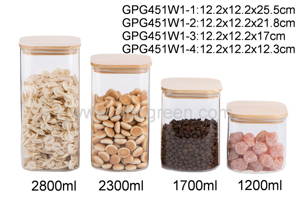 GPG451W1