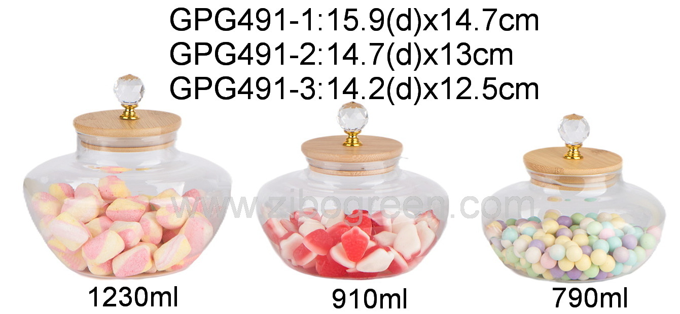 GPG491