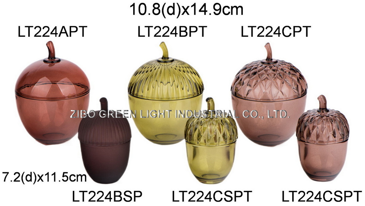 LT224PT