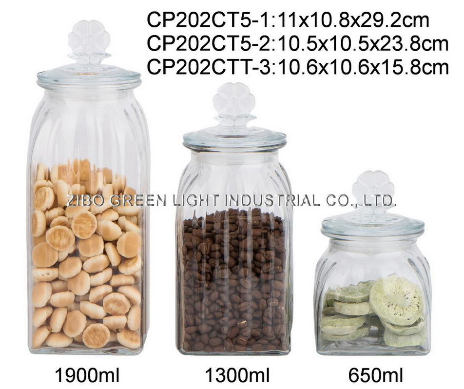 CP202CT5