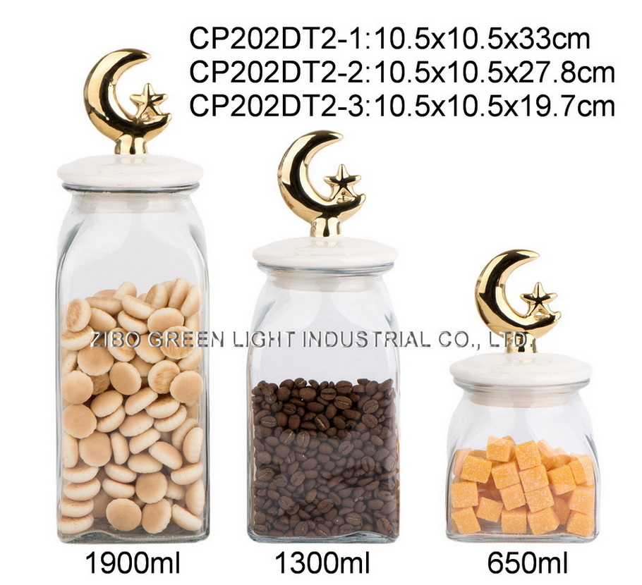 CP202DT2