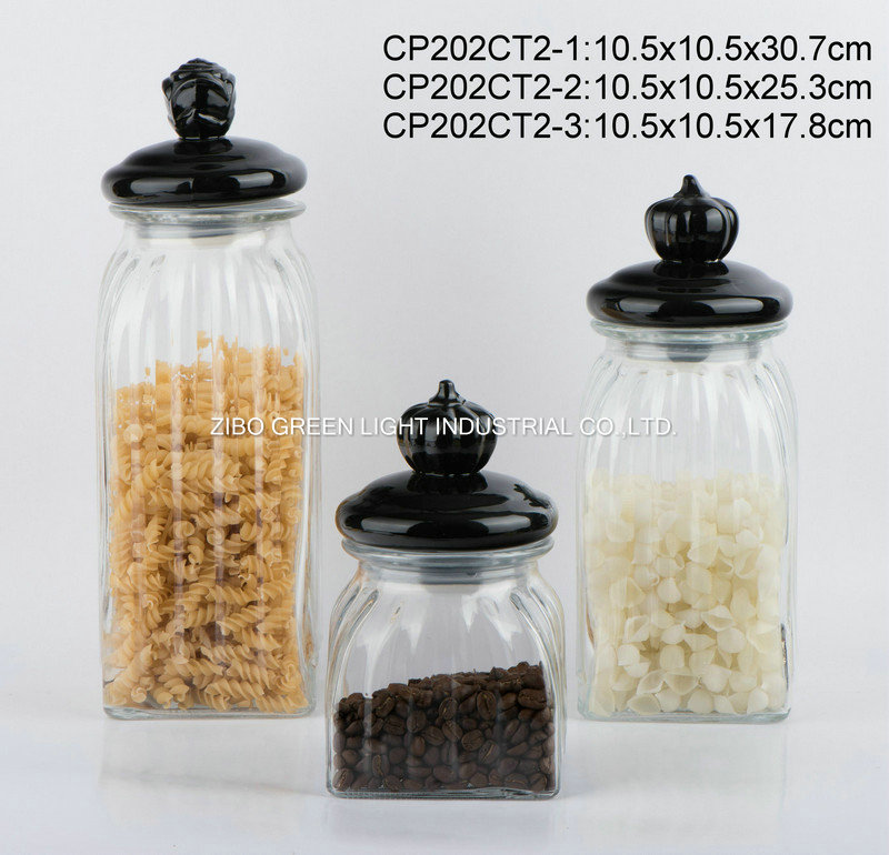 CP202CT2-1