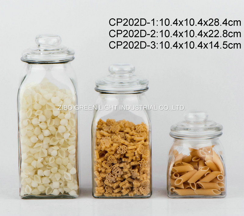 CP202D